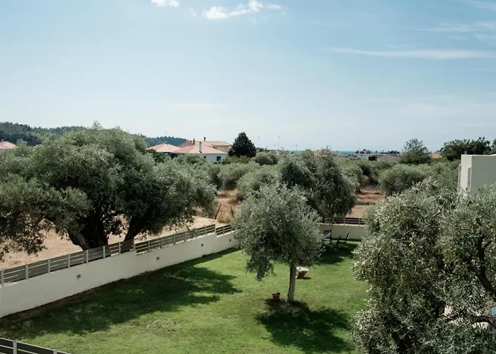 Magnolia Thassos * 波托什