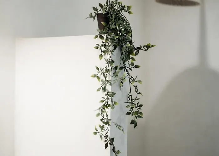 Magnolia Thassos 别墅 *