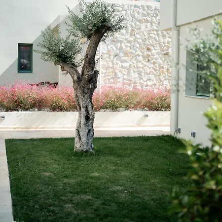 Villa Magnolia Thassos