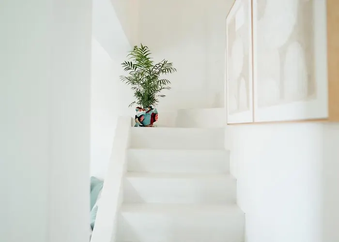 Magnolia Thassos Potos